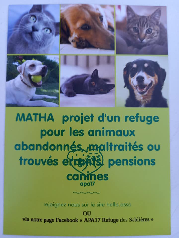 flyer APA 17 recto