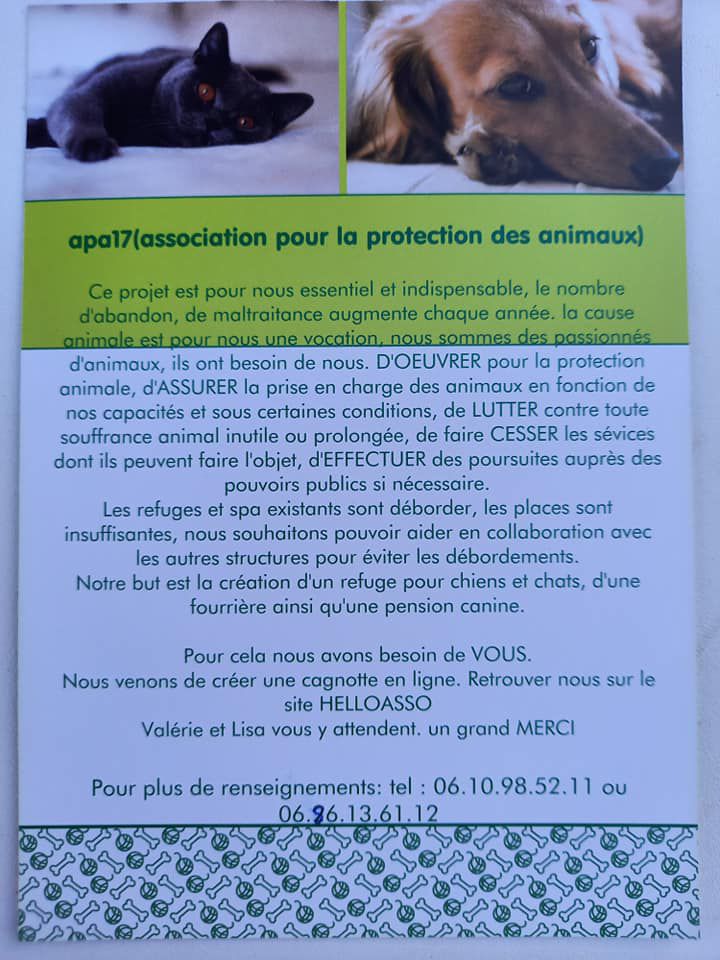 flyer APA 17 verso