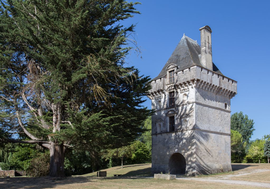 Photo de la vue du château