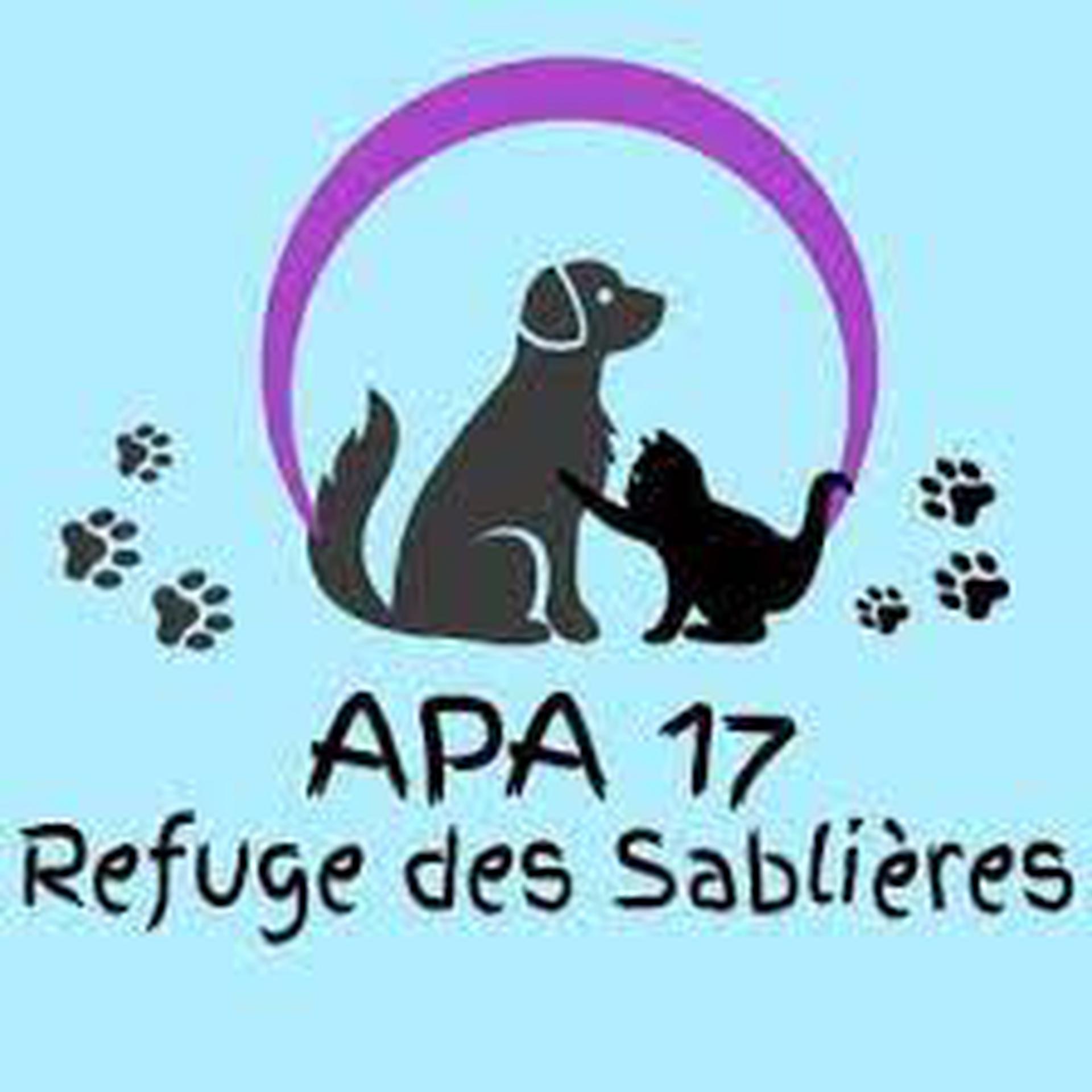 APA 17