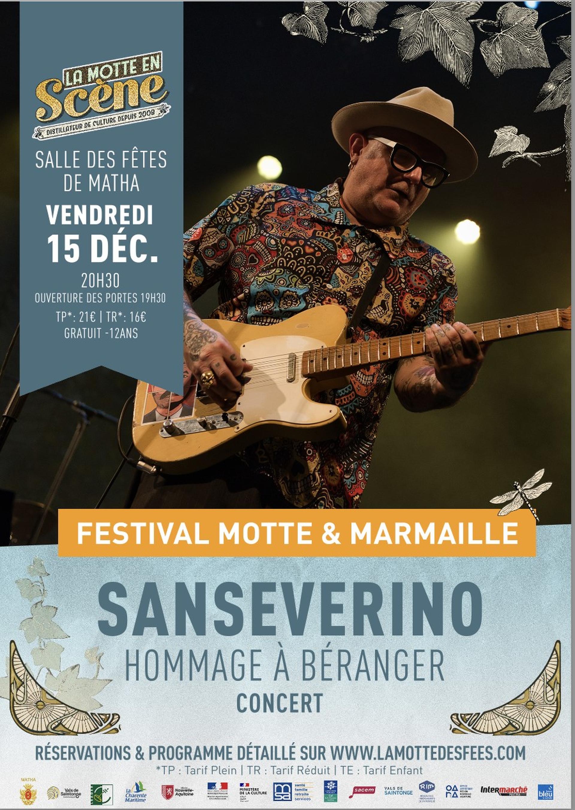 Concert Sanseverino