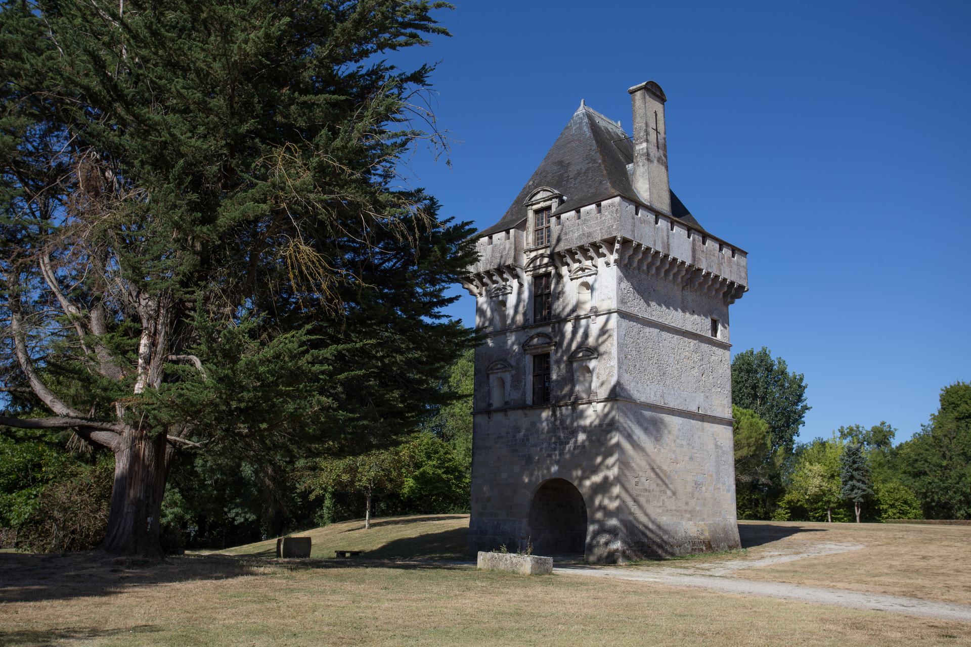 Vue du château - Commune de Matha Photo de la vue du château