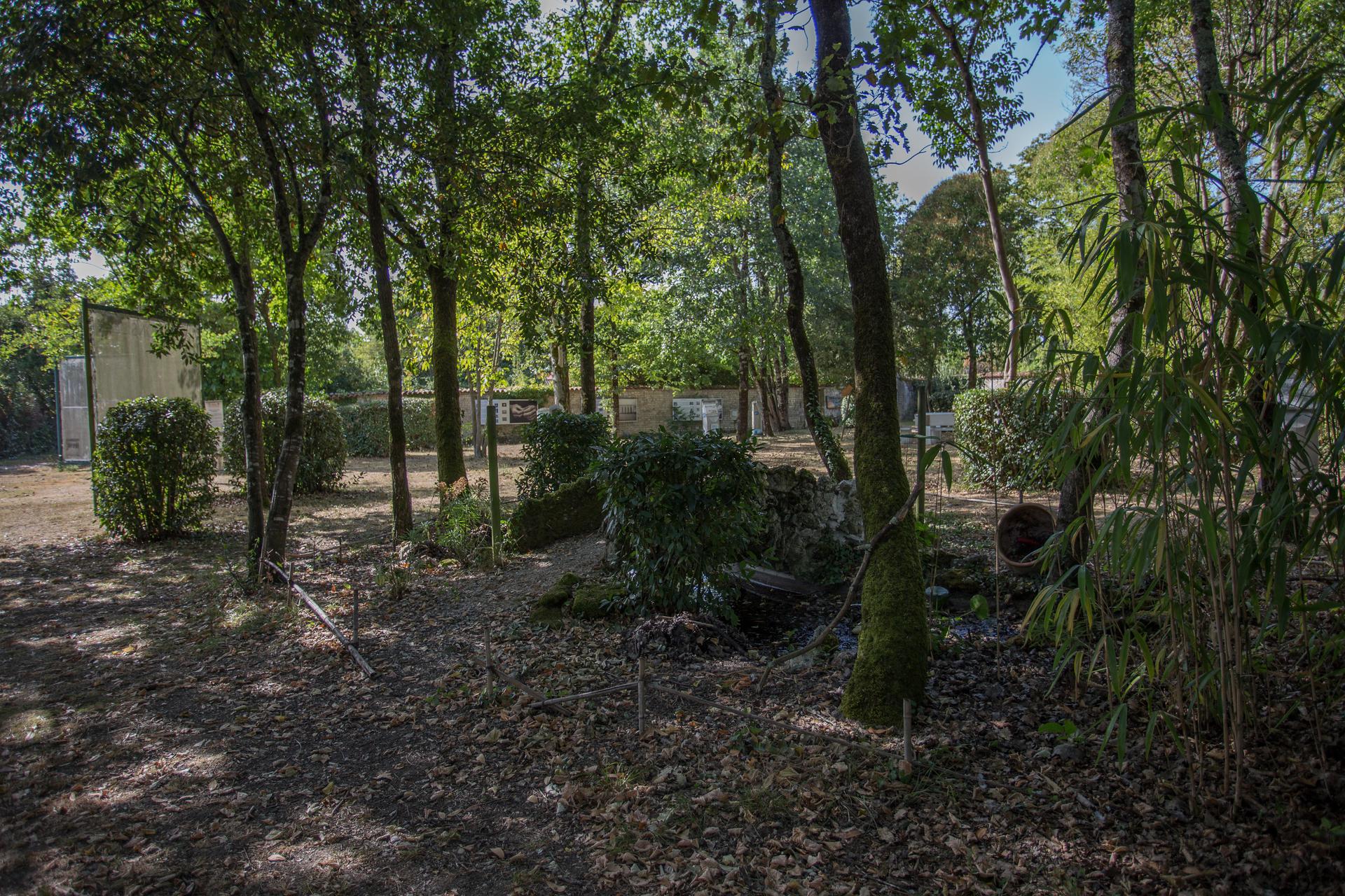 Photo du jardin de paix de Matha